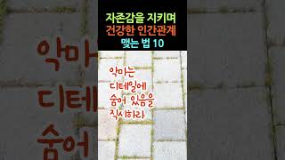 모든 행복은 사람에게서 비롯됨을 기억하라 #shorts