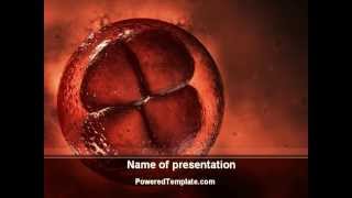 Division Cells PowerPoint Template by PoweredTemplate.com