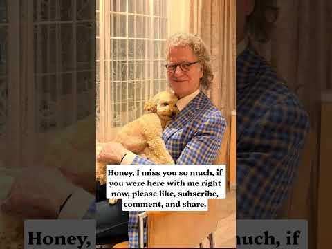 De Huidige Situatie: Is Maestro Nog Beschikbaar?