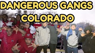 Dangerous Colorado Gangs: Gallant Knights Insane, Rollin 30 Crips, Crenshaw Mafia Bloods &amp; More !!!