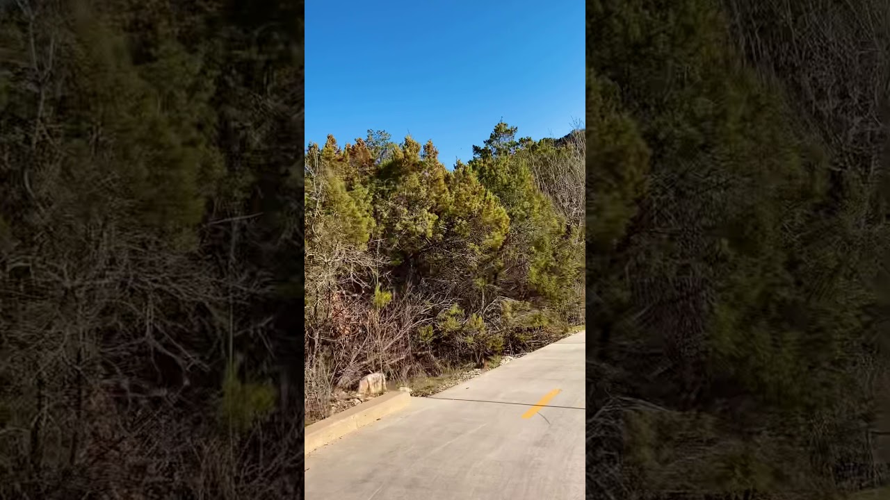 Salado Creek Segment San Antonio