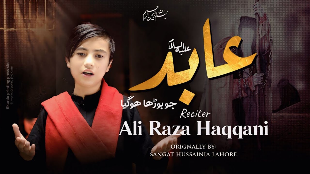 KYA HUWA BAZAR MAY ABID JO BURHA HOGYA || ALI RAZA HAQQANI || NOHA 2025 CHEHLUM||