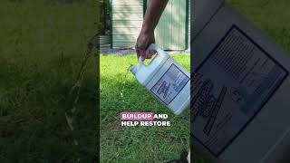 This $50,000 Mistake Happens in Your Drain Field! #septic #drainage