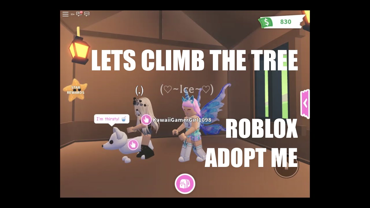 Roblox Adoptme Racing To The Top Of Tree For A Bear Youtube - roblox building a youtube hangout place ep4 lets finish this