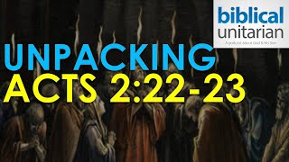 414 - Unpacking Acts 2:22-23 | Biblical Unitarian Podcast
Acts 2:22-23 offers an undiluted christology that best represents the beliefs of the New Testament authors. Peter proclaims that Christ was a real human being, whom God empowered to perform miraculous works. The passage also illustrates Jesus as preexisting in Gods foreknowledge and predetermined plan, rather than consciously existing in heaven before his birth.
00:00 - Intro
02:00 - First Impressions of Acts 2:22-23
12:52 - God Highly Empowered the Man Jesus
18:19 - Jesus Preexisted in Gods Plans
23:59 - Conclusion
Buy A Systematic Theology of the Early Church:
-paperback https://amzn.to/47jldOc
-hardcover https://amzn.to/434Zqrd
-Kindle https://amzn.to/4qBdRNB
Buy Wisdom Christology in the Gospel of John: https://amzn.to/3JBflHb
Buy The Son of God: Three Views of the Identity of Jesus: https://amzn.to/43DPYey
Buy the AI Critical New Testament with over 7,000 Textual Variants: https://amzn.to/4oLrTKX
To support the Biblical Unitarian Podcast, donate here: https://www.paypal.me/10mintruthtalks
To support the channel with a membership, click here:
https://www.youtube.com/channel/UCG5H6oqEnhFjdUryhDOYSvQ/join
Follow us on Twitter (X) at:
https://twitter.com/OneGodPodcast
Follow us on TikTok at:
https://www.tiktok.com/@biblicalunitarianpodcast
Episode notes: https://docs.google.com/document/d/11uBt9NT8UPEiMSGc9FxhqhA2Zw45eEoJ8xfI1G8bhwE/edit?usp=sharing 414 - Unpacking Acts 2:22-23 | Biblical Unitarian Podcast