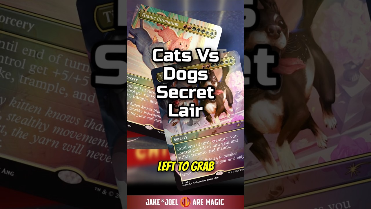 Is the Secret Lair Cats vs Dogs Worth Buying?
