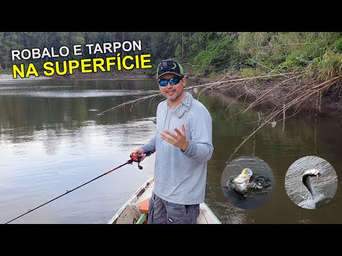 PESCARIA DE ROBALO E TARPON NA ILHA DE MARAJÓ