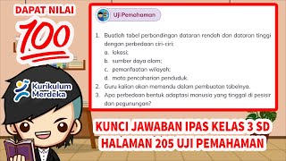Kunci Jawaban IPAS Kelas 3 Halaman 205 206 Uji Pemahaman Kurikulum Merdeka