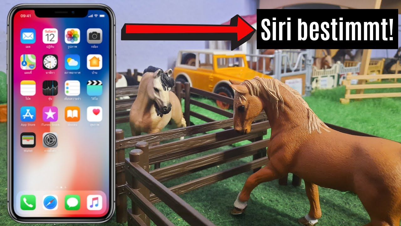 Schleich Pferd Ab In Deine Box Video
