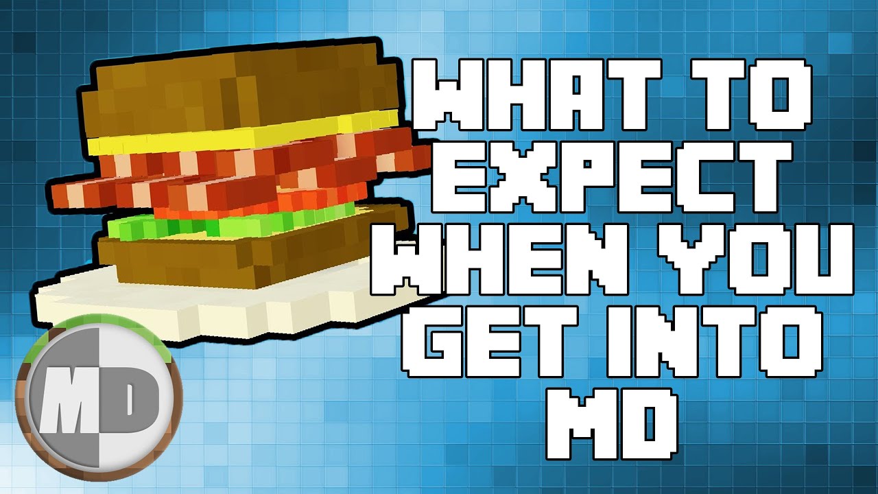 Sandwich Friends - [MineDivision Shorts]