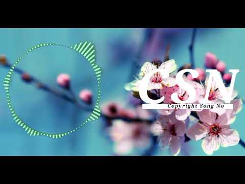 Y&V - Back in Time [CSN CopyrightSongNo]