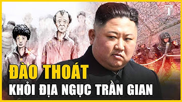 Kim Jong-un Và Xứ Sở Triều Tiên: Nỗi Ám Ảnh Của Những Người Đào Thoát!