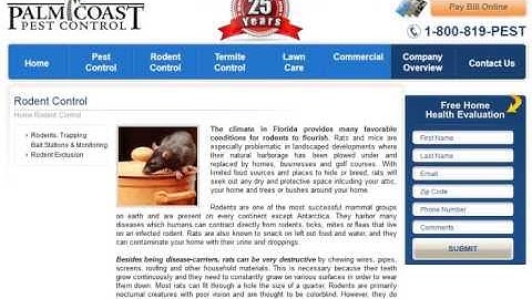 CMS Web Designer - Fort Lauderdale Miami Web Design