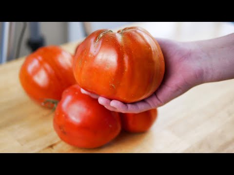 Video: Pomidorų „karvės širdis“– delikatesas tarp daržovių