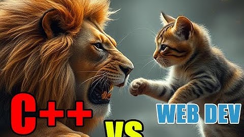 web developer vs C++ programmer