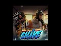 Prince Swanny ❌ Skillibeng - SHAKE (Official Audio)