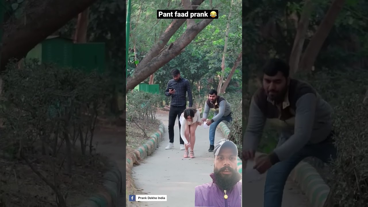 A disabled duckling helps his cat friend 🐥 