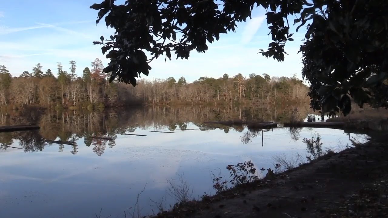 Ocmulgee Land Trust preserves more than 1,000 acres this year along river YouTube