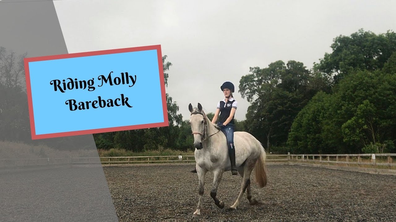 Riding Molly bareback! YouTube