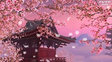 Nhạc Thiền - Giảm Căng Thẳng, Tiêu Tan Mệt Mỏi Và Stress, Bình Tĩnh Trước Mọi Sự Thay Đổi Cuộc Sống.