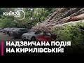 💥 РОЗТРОЩИЛО ОДРАЗУ ТРИ АВТО! На Подолі через негоду обвалилося дерево