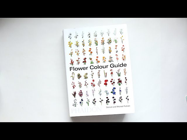 Flower Colour Guide by Darroch and Michael Putnam | Book