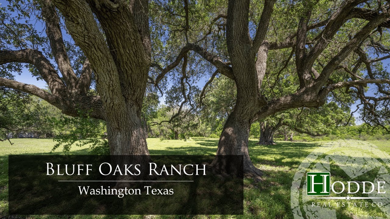 Texas Acreage For Sale Bluff Oaks Ranch Washington Texas Hodde
