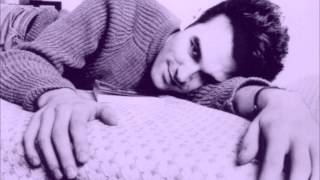 the Smiths - This Charming Man (Scenester's electro mix)