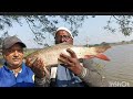 AHB fishing youtube fishing 🎣 today Big saiz rahu #rahu like subscribe sher comment 🎣🐟