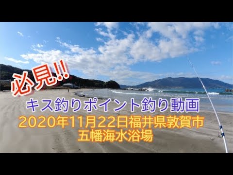 投げ釣り 釣行動画 年11月22日キス釣行 福井県敦賀市五幡海水浴場 Youtube