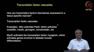 Differential gene expression (Part 3 of 4)