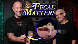 Celebrity How to Tell if Your Snake is Male or Female! (Corn Snakes, Boas & Burmese Pythons) Wealth