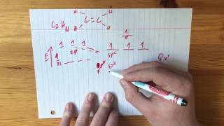 Hybridization Informization