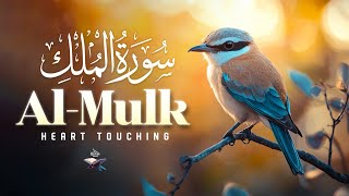 Surah Al-Mulk – Complete Recitation for Night Protection, Spiritual Blessings, and Divine Mercy.