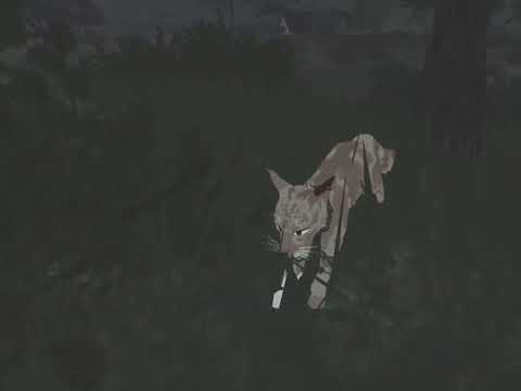 Do you blame yourself? | Suntail lore |