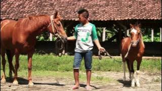 DUNIA BINATANG | SOBAT YANG EKSOTIS 1-3