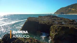 Rumena