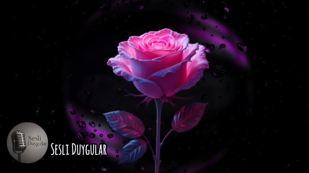 Roza Bölüm 4 Unutulmaz Aşkın İzleri Duygusal Şiir 