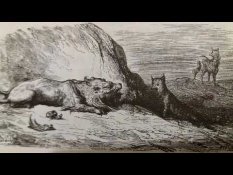 fables-de-la-fontaine---le-lion,-le-loup-et-le-renard