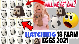 Hatching 18 Farm eggs In Roblox Adopt Me Trading 2021