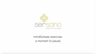 Mindfulness Exercise: A Moment to Pause