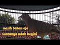 Perkutut Lokal Masih Bahan Suara Keras Istimewa Mp3 - Mp4 Download