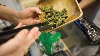 Marijuana News - Trulieve Florida Home Delivery - Potshotz Flavorless Marijuana Mixer