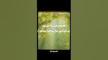 #قرآن كريم #سورة السجدة (آية : ١٧)🤍