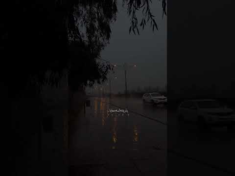  ياريته مني ماراح