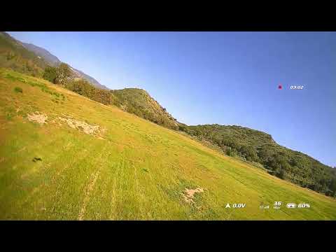 Modified HeeWing Ranger T1 w/ DJI FPV + DIFF THRUST : Pin Wheel Maneuver