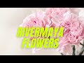 Rivermaya - FLOWERS (+Lyrics)