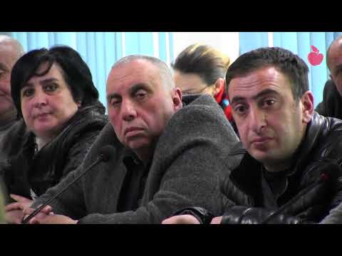 ოთხი მუნიციპალიტეტის ძაღლთა თავშესაფრის პროექტი  ცხოველთა დამცველებს ვერ მოაწონეს