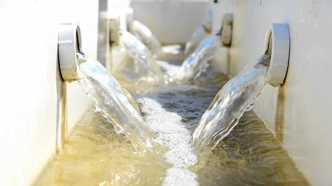 Oyster Aquaculture Equipment Land Based Upweller YouTube