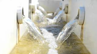 Oyster Aquaculture Equipment: Land Based Upweller